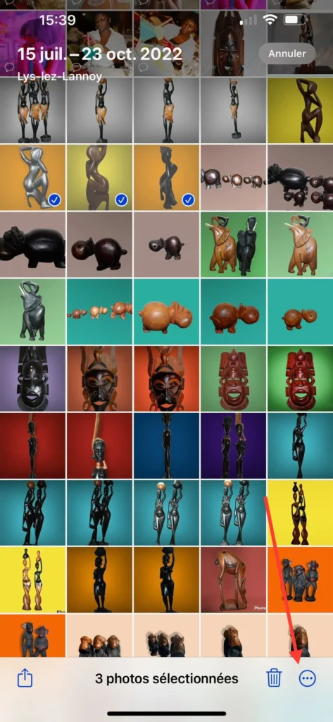 Comment Cacher des Photos personnelles sur votre Android ou iOS ? 13 Appuyez sur les trois petits points en bas à gauche